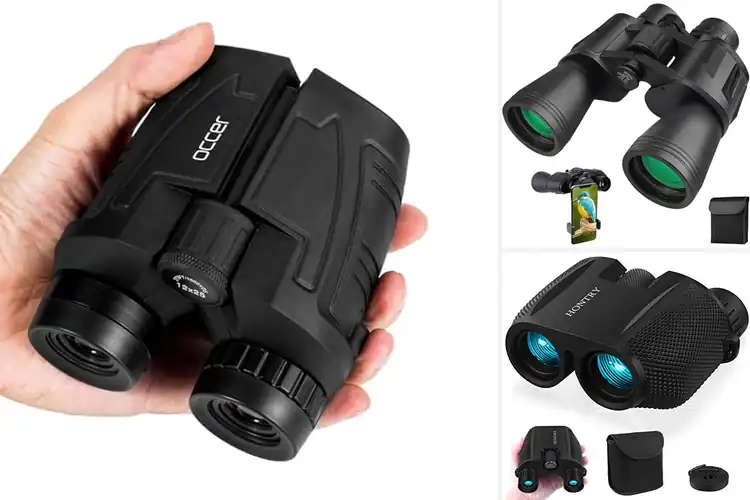 Detailed view of Best Bird Watching Binoculars