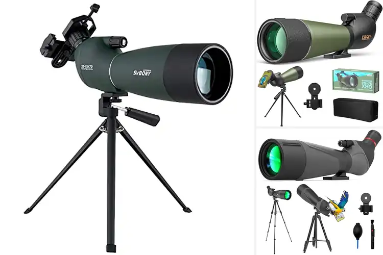 Detailed view of Best Bird Watching Telescopes