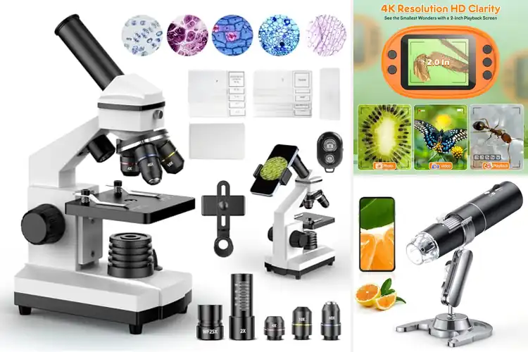 Detailed view of Best Budget Microscopes