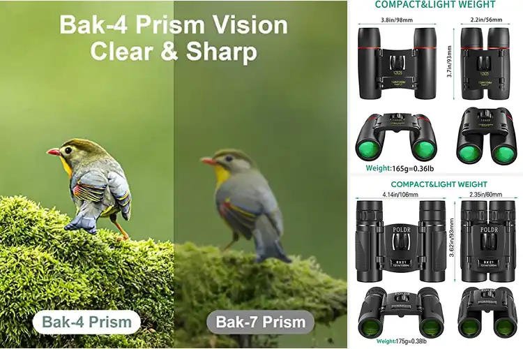 Detailed view of Best Budget Pocket Binoculars