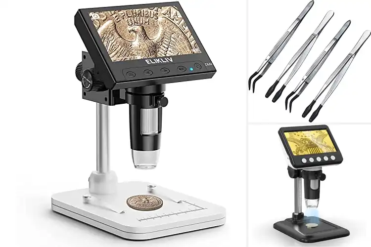 Detailed view of Best Coin Collecting Tools