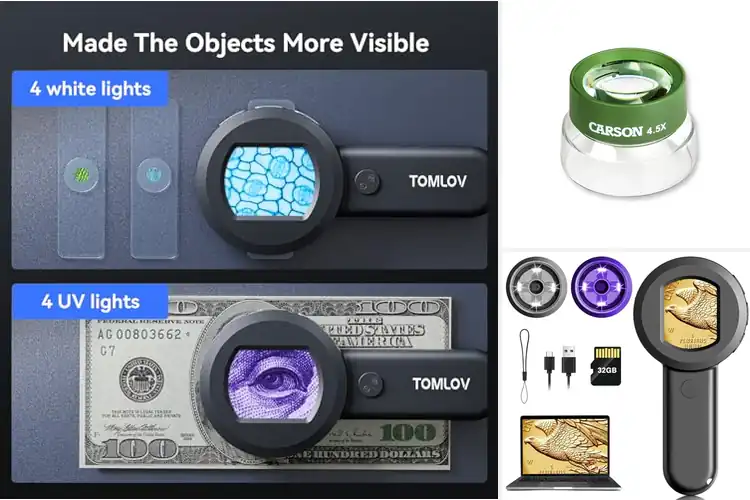 Detailed view of Best Coin Magnifiers for Kids Education