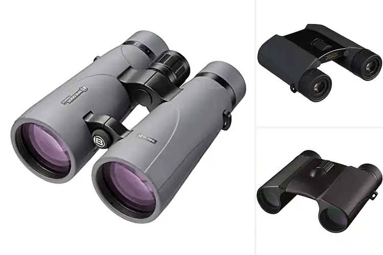 Detailed view of Best Color Fidelity Binoculars