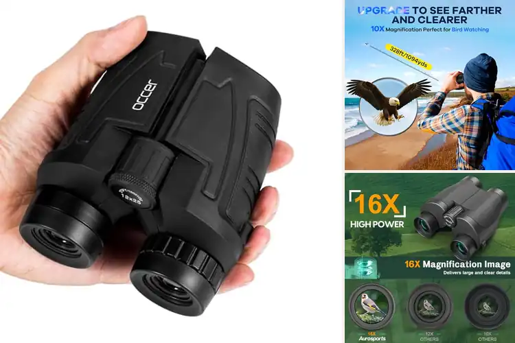 Detailed view of Best Compact Binoculars 1lb