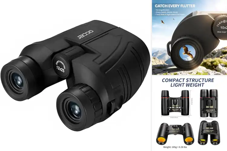 Detailed view of Best Compact Binoculars For Cruise: Pocket‑Ready Views
