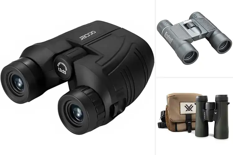 Detailed view of Best Compact Binoculars For Hunting