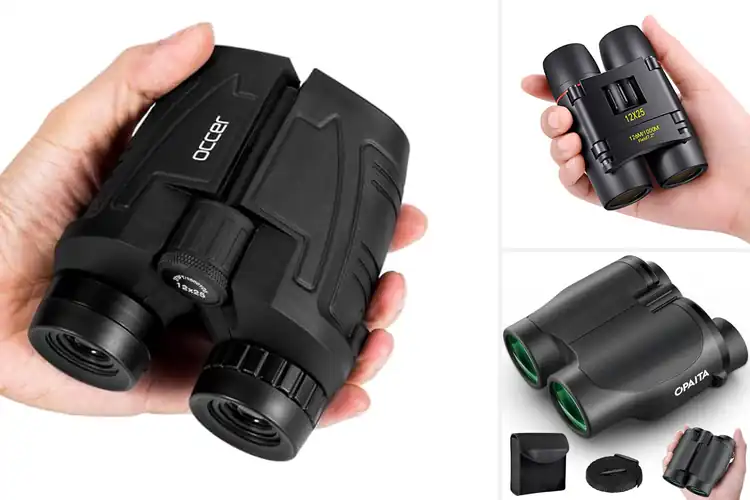 Detailed view of Best Compact Binoculars for Travel: See More, Carry Less
