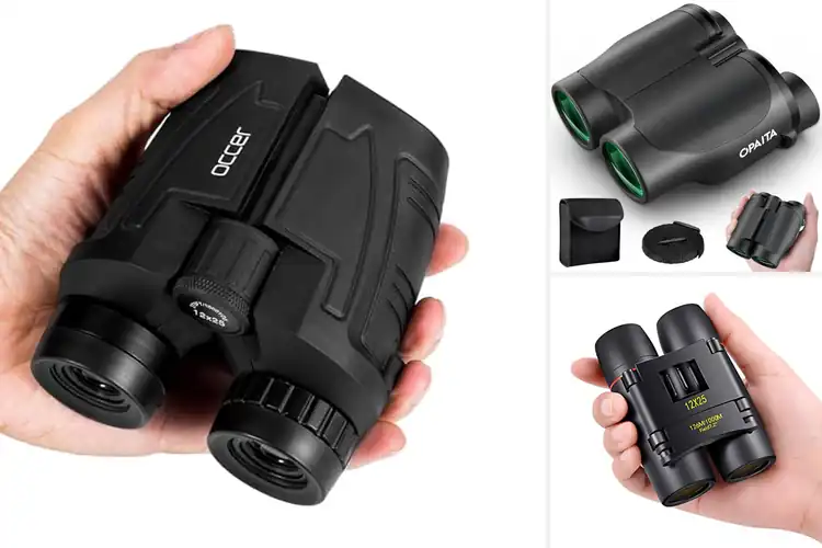 Detailed view of Best Compact Travel Binoculars for Stunning Views Anywhere