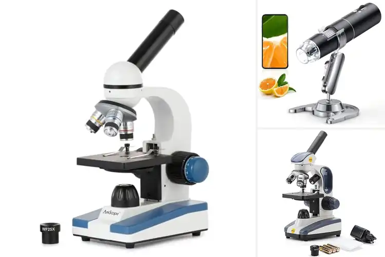 Detailed view of Best Cordless Microscopes