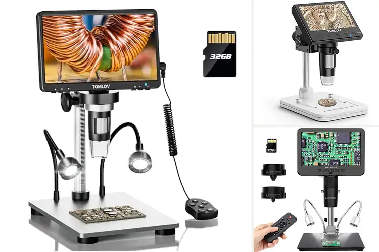 Detailed view of Best Digital Microscopes