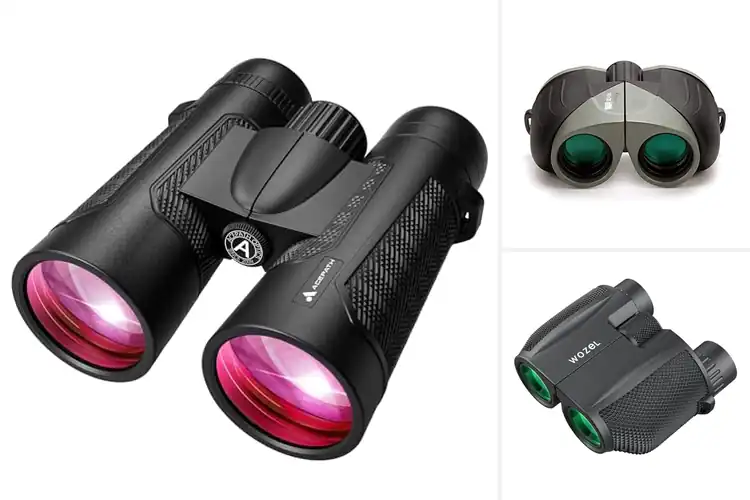 Detailed view of Best Diopter Adjusted Binoculars For Vision Differences