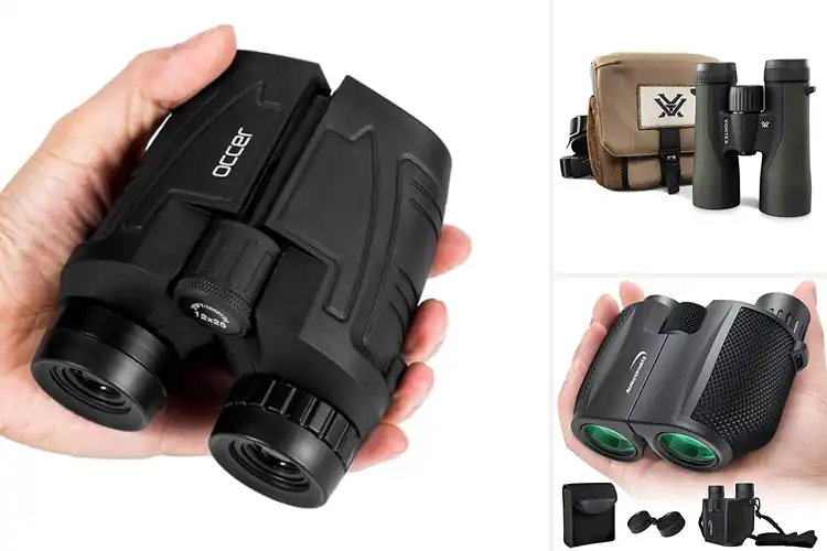 Detailed view of Best Durable Binoculars: Top Waterproof & Shockproof Picks