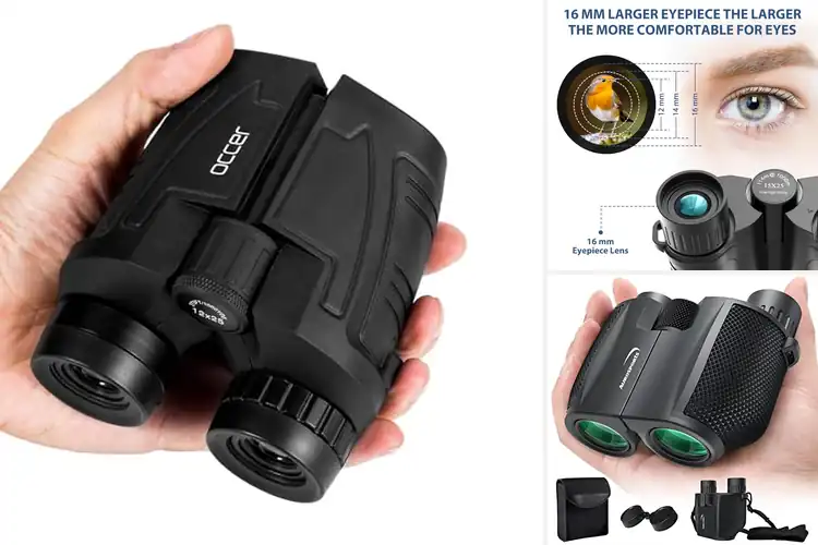 Detailed view of Best Easy to Use Binoculars