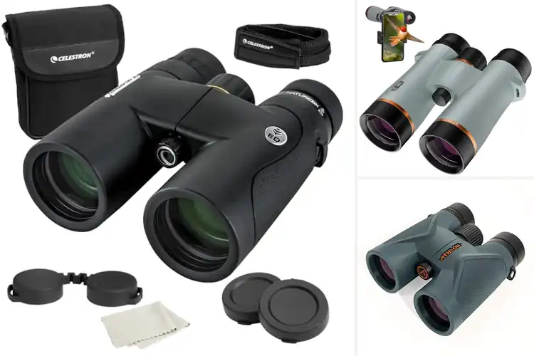Detailed view of Best ED Glass Binoculars