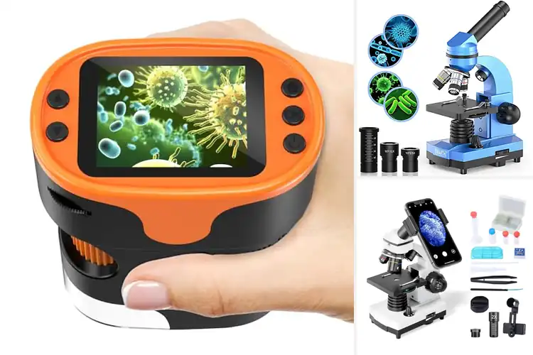 Detailed view of Best Educational Microscopes