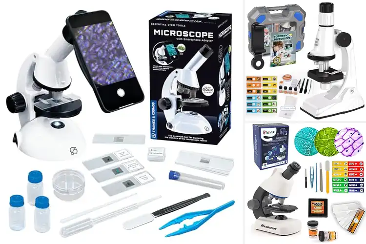 Detailed view of Best Educational Stem Microscopes