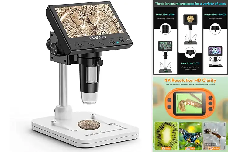 Detailed view of Best Electronic Microscopes
