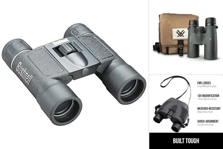 Detailed view of Best Ergonomic Grip Binoculars