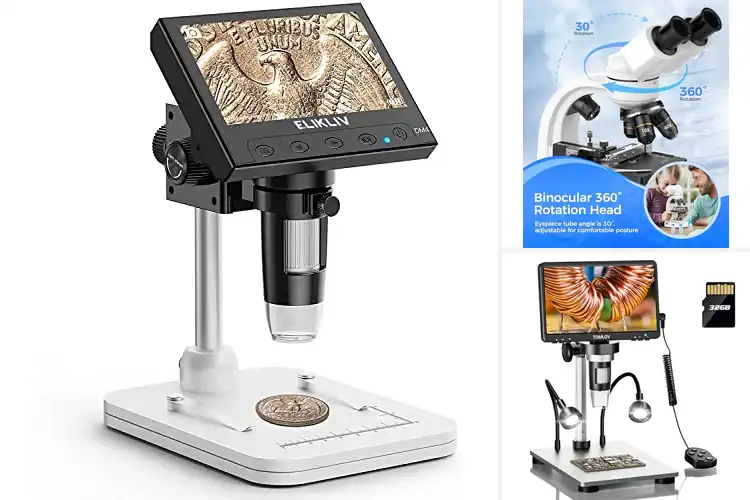 Detailed view of Best Ergonomic Microscopes