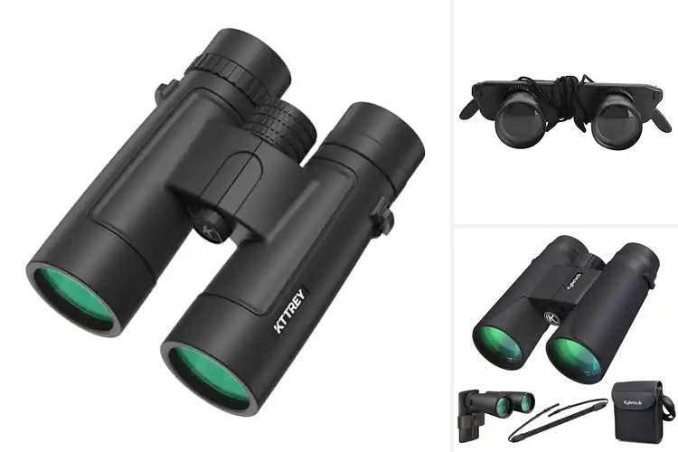 Detailed view of Best Eyeglass-Compatible Binoculars