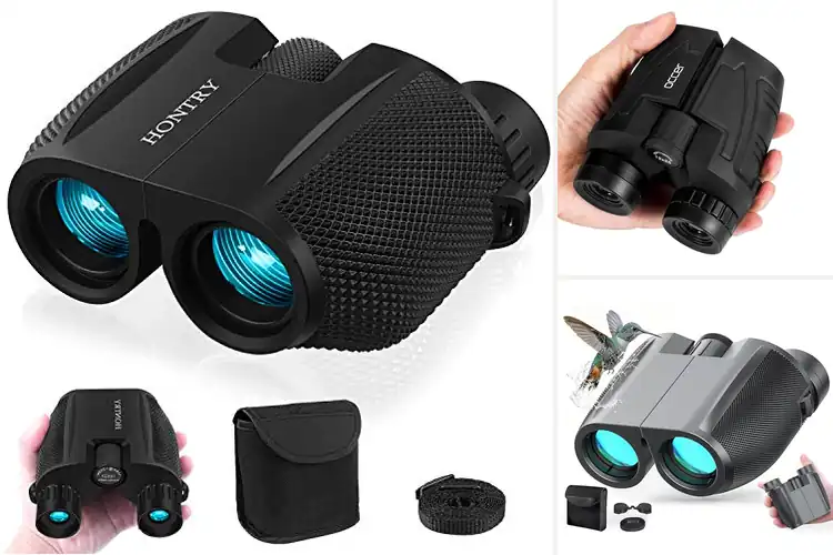 Detailed view of Best Family Binoculars: Top 10 Picks for Clear Adventures