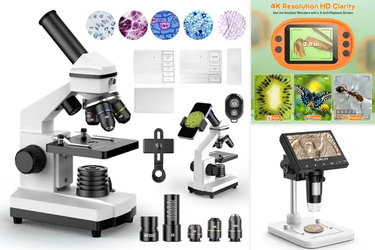 Detailed view of Best Family Microscopes: Discover Fun Learning for All Ages