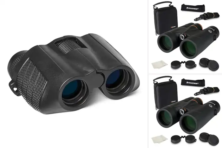Detailed view of Best Family Use Binoculars