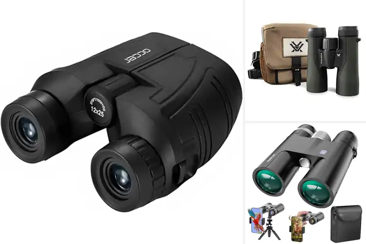 Detailed view of Best Field Binoculars