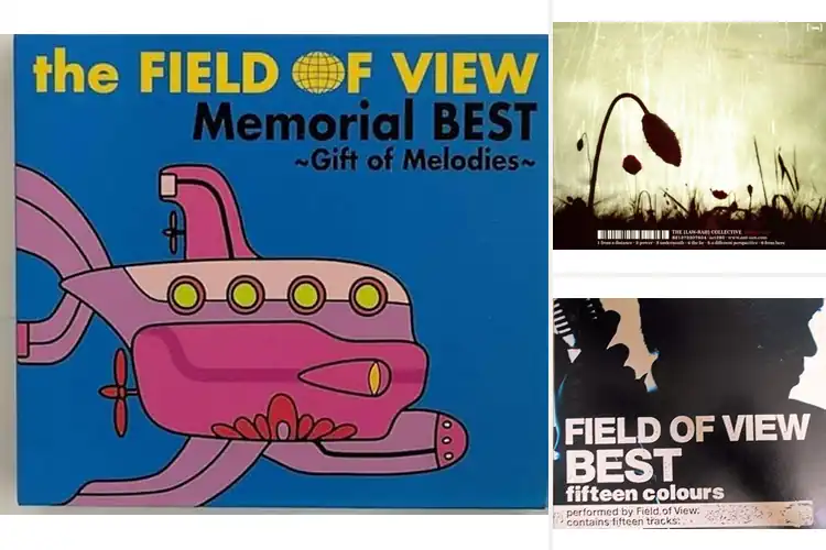 Detailed view of Best Field Of View: 9 Top Experiences for Enhanced Enjoyment