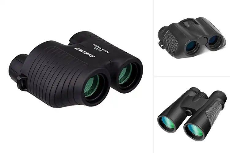 Detailed view of Best FMC Broadband Coating Binoculars For Clarity