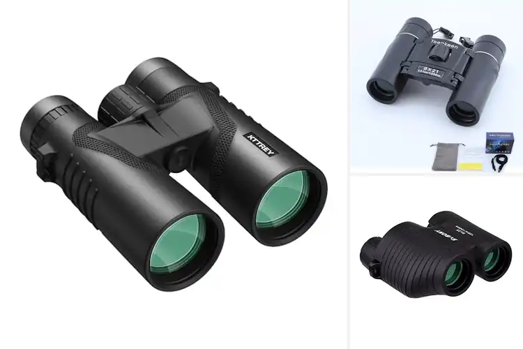 Detailed view of Best FMC Coating Binoculars