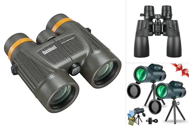 Detailed view of Best FMC Multi-Coated Lenses Binoculars