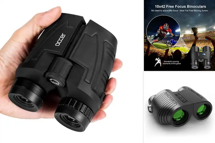 Detailed view of Best Focus Binoculars