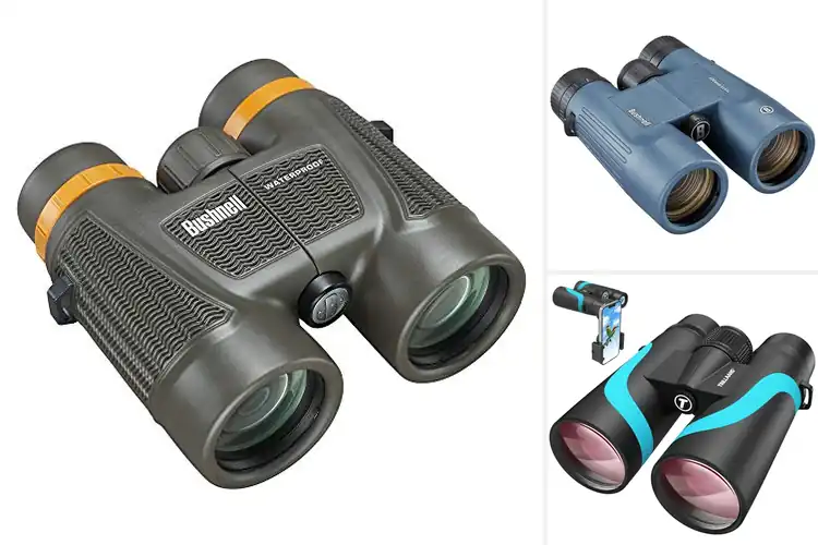 Detailed view of Best Fogproof Binoculars for Clear Views in Any Weather