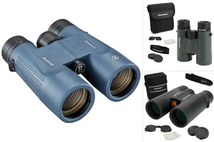 Detailed view of Best Fully Multi-Coated Binoculars