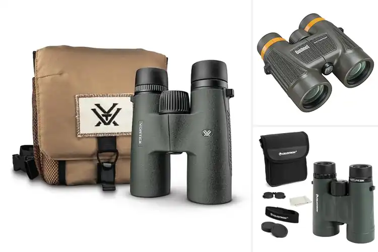 Detailed view of Best Fully Multicoated Lenses Binoculars