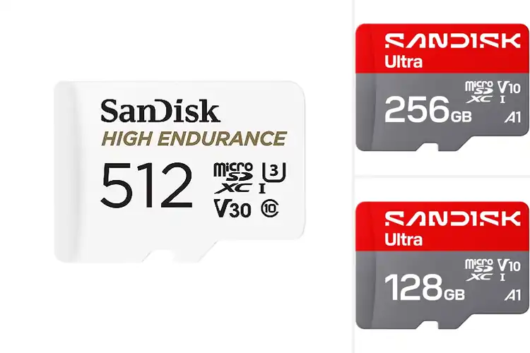 Detailed view of Best High Capacity Micro SD Cards