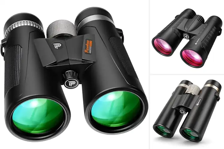 Detailed view of Best High Magnification Binoculars With Clear Image