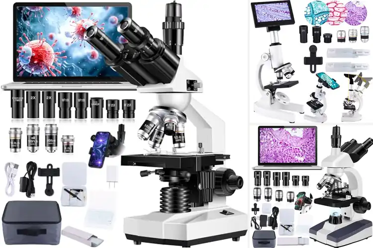 Detailed view of Best High Magnification Microscopes