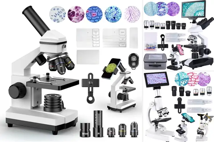 Detailed view of Best High-Power Microscopes