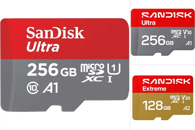 Detailed view of Best High Speed MicroSD Cards