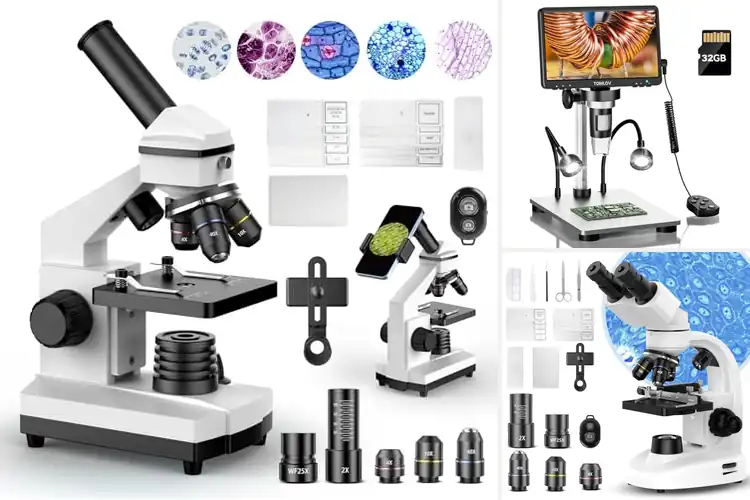 Detailed view of Best Hobby Microscopes For Adults