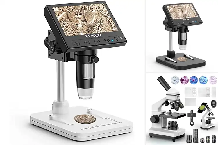 Detailed view of Best Hobby Microscopes: Unlock a Microscopic Universe