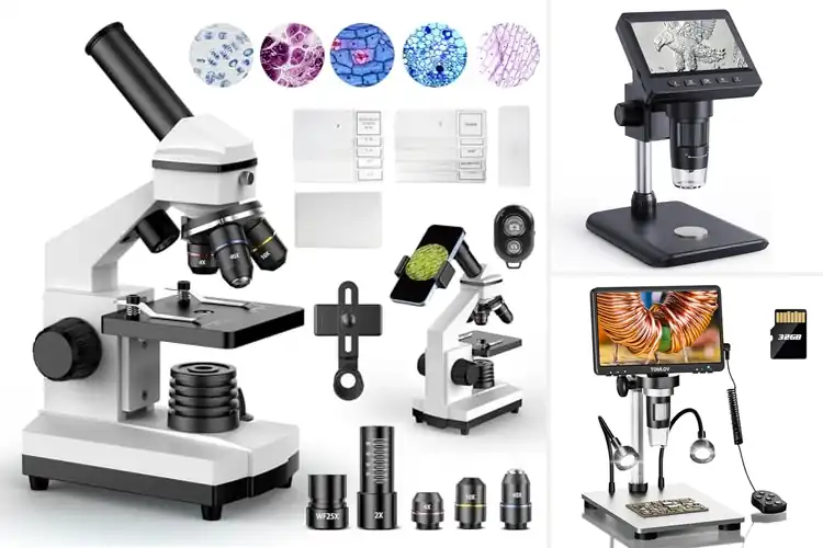 Detailed view of Best Hobbyist Microscopes: Uncover Tiny Wonders with Ease