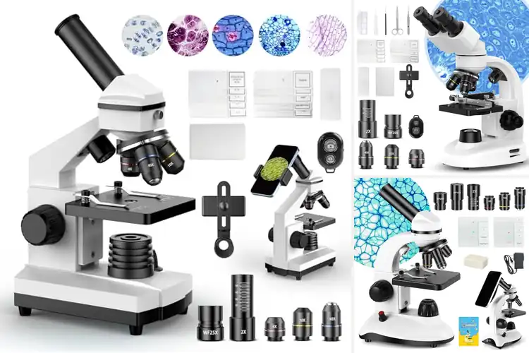 Detailed view of Best Home Education Microscopes