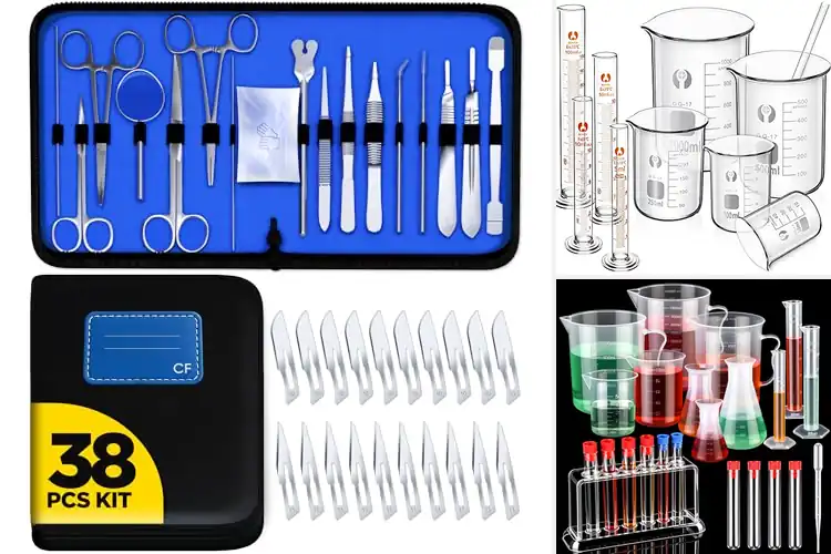 Detailed view of Best Home Lab Equipment: Top 10 Kits for Your Perfect Setup