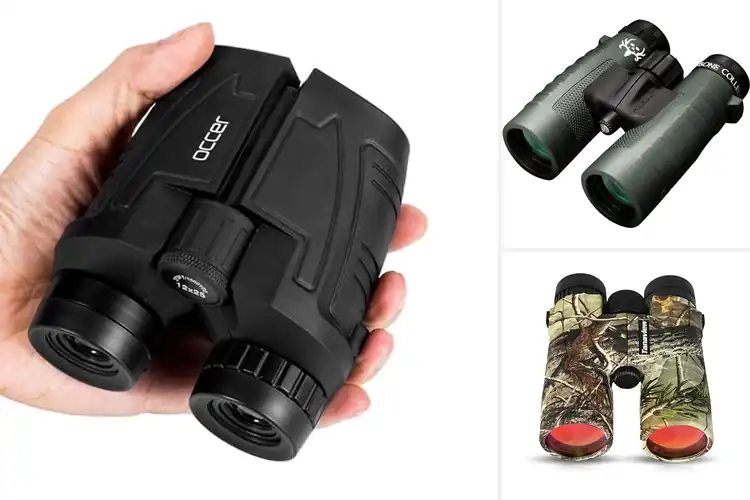 Detailed view of Best Hunting Binoculars