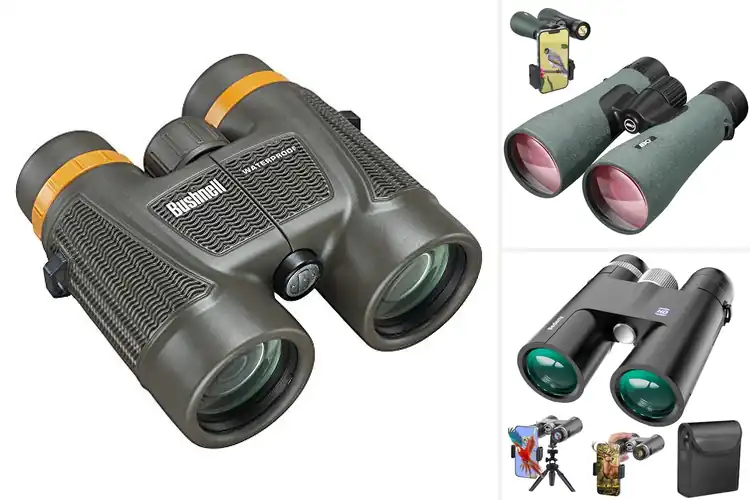 Detailed view of Best IPX7 Waterproof Binoculars