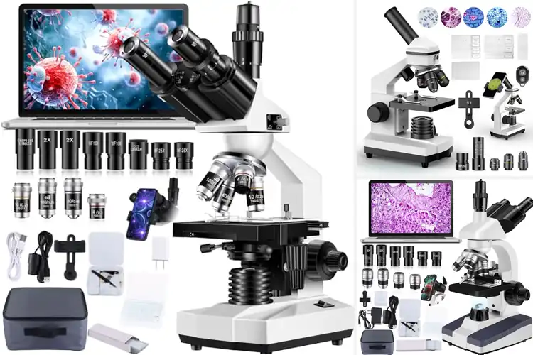 Detailed view of Best Laboratory Microscopes