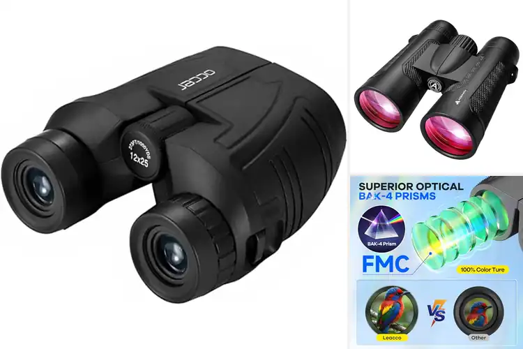 Detailed view of Best Large View Binoculars
